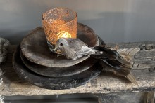 Set van 3 Kunst vogels Bird Paradise